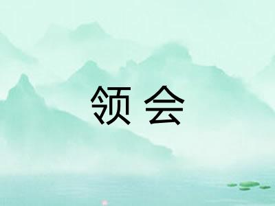 领会