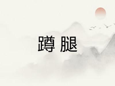 蹲腿