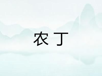 农丁