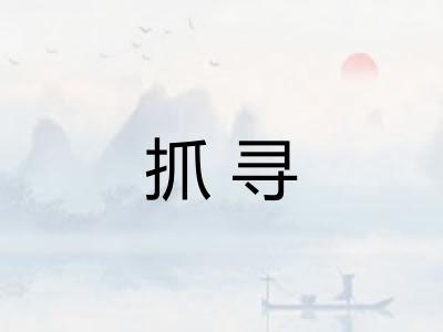 抓寻