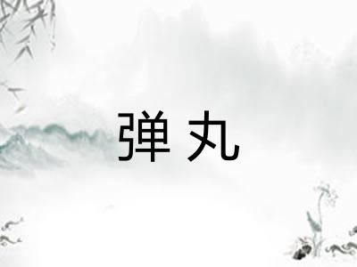 弹丸