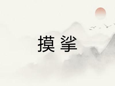 摸挲