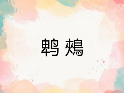 鹎鵊