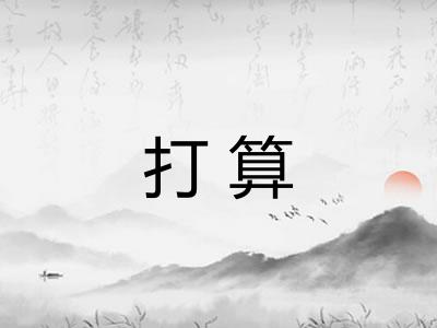 打算