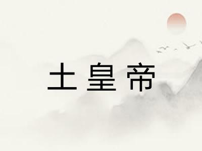 土皇帝