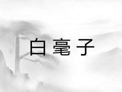 白毫子 白毫子