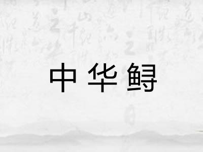 中华鲟