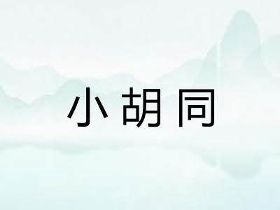小胡同