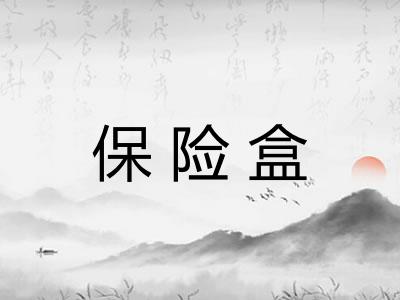 保险盒