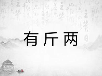 有斤两