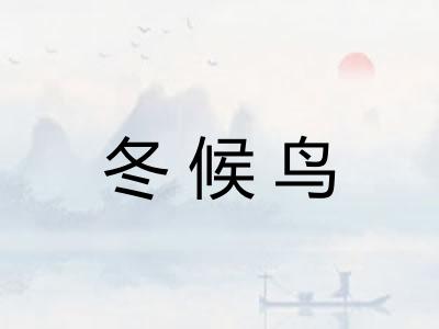 冬候鸟