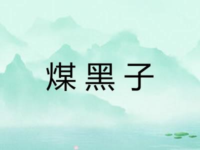 煤黑子