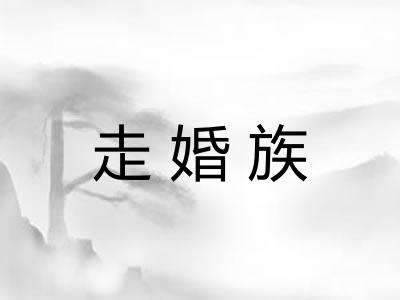 走婚族