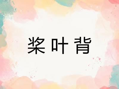 桨叶背