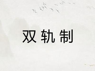 双轨制