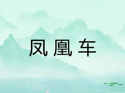 凤凰车
