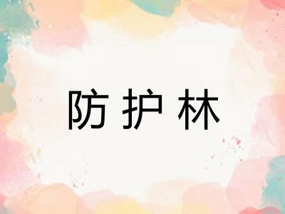 防护林