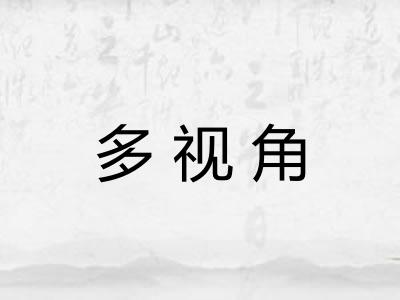 多视角