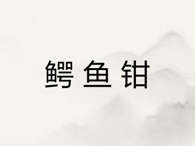 鳄鱼钳