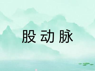 股动脉