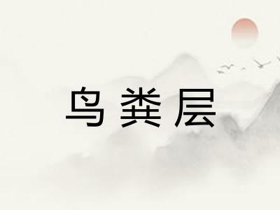 鸟粪层