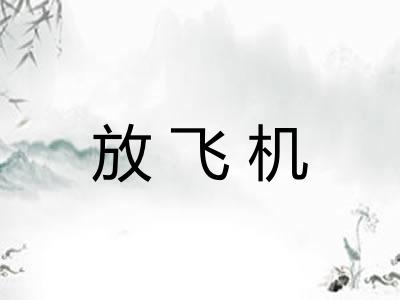 放飞机