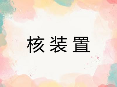 核装置