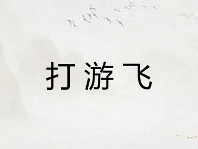 打游飞 打游飞