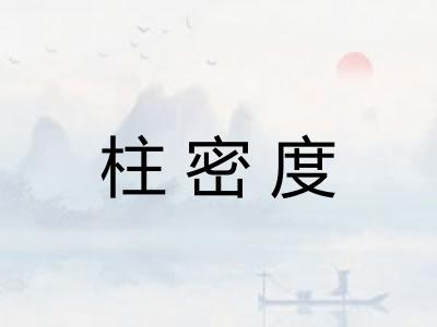 柱密度
