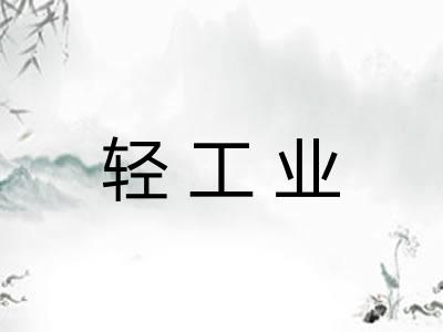 轻工业 轻工业