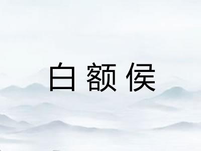 白额侯