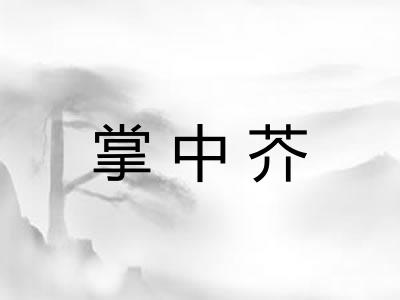 掌中芥
