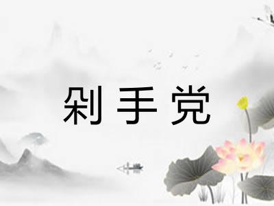 剁手党