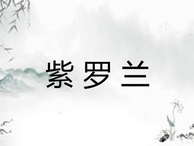 紫罗兰