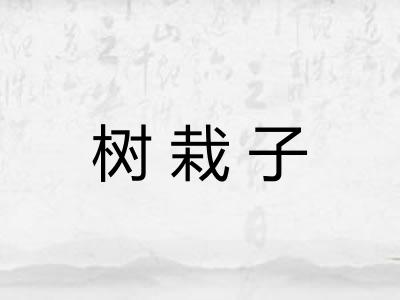 树栽子