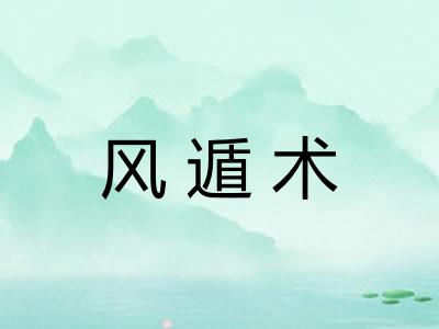 风遁术