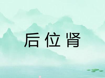 后位肾