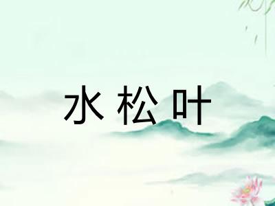 水松叶