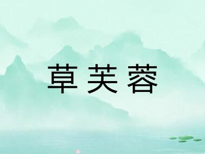 草芙蓉