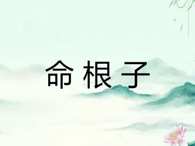 命根子 命根子