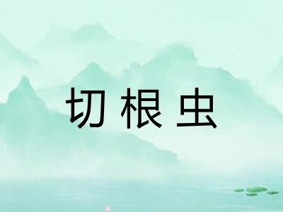 切根虫