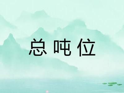 总吨位