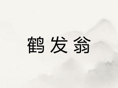 鹤发翁