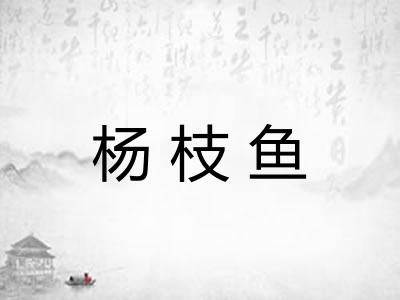 杨枝鱼 杨枝鱼