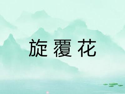 旋覆花