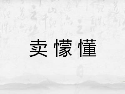 卖懞懂