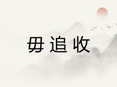 毋追收