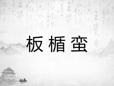 板楯蛮
