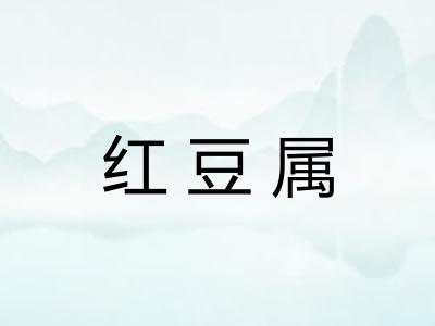 红豆属