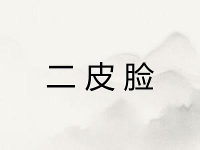 二皮脸